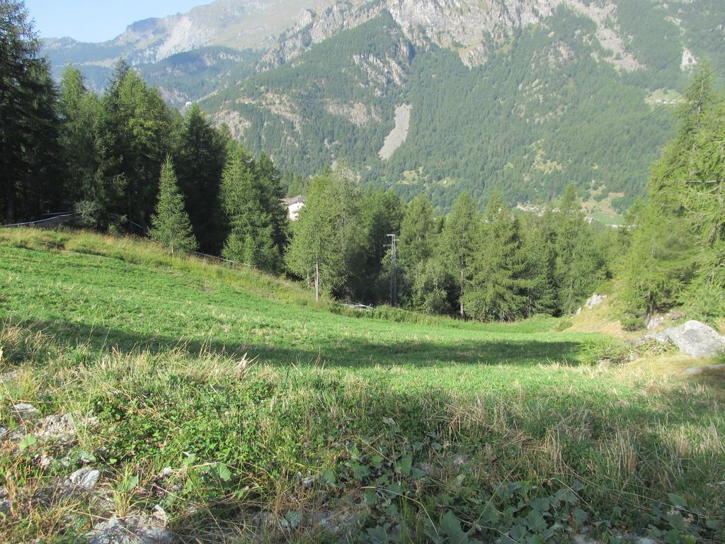 Cervino Valley House Rododendro Breuil-Cervinia Pokoj fotografie